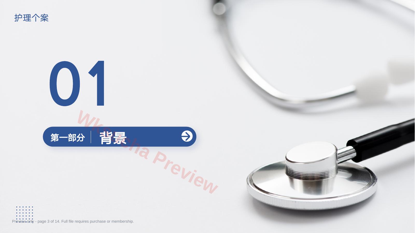 预览第 3 页