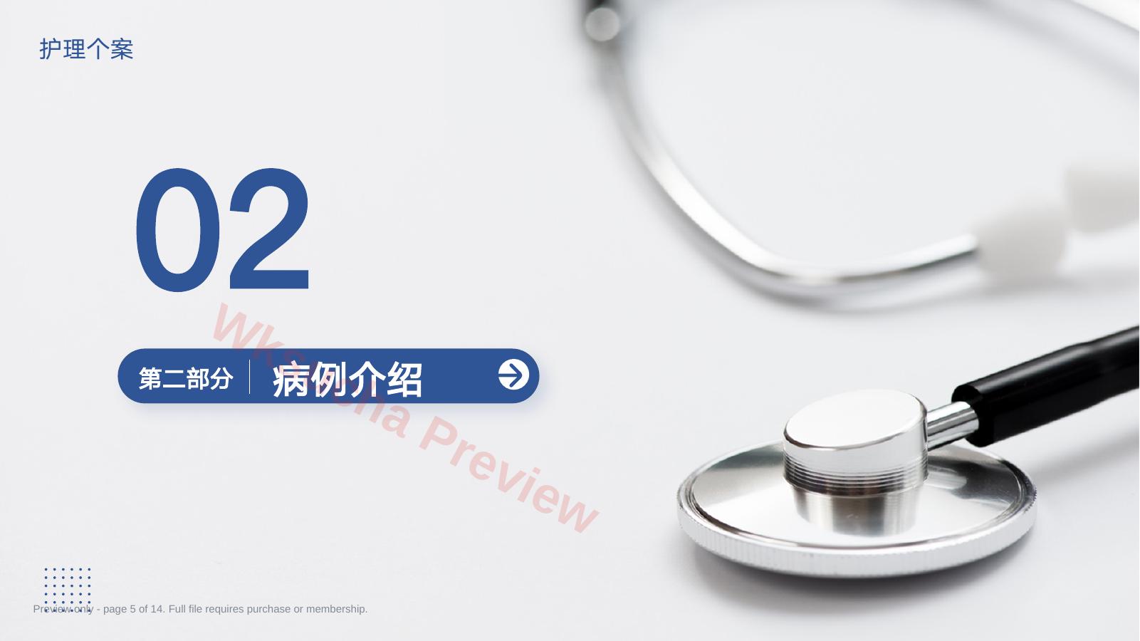 预览第 5 页