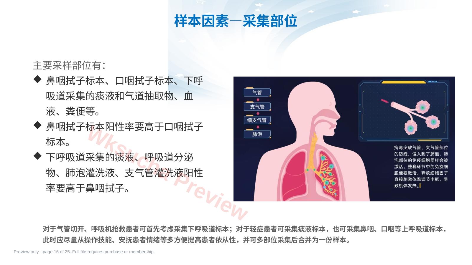 预览第 16 页