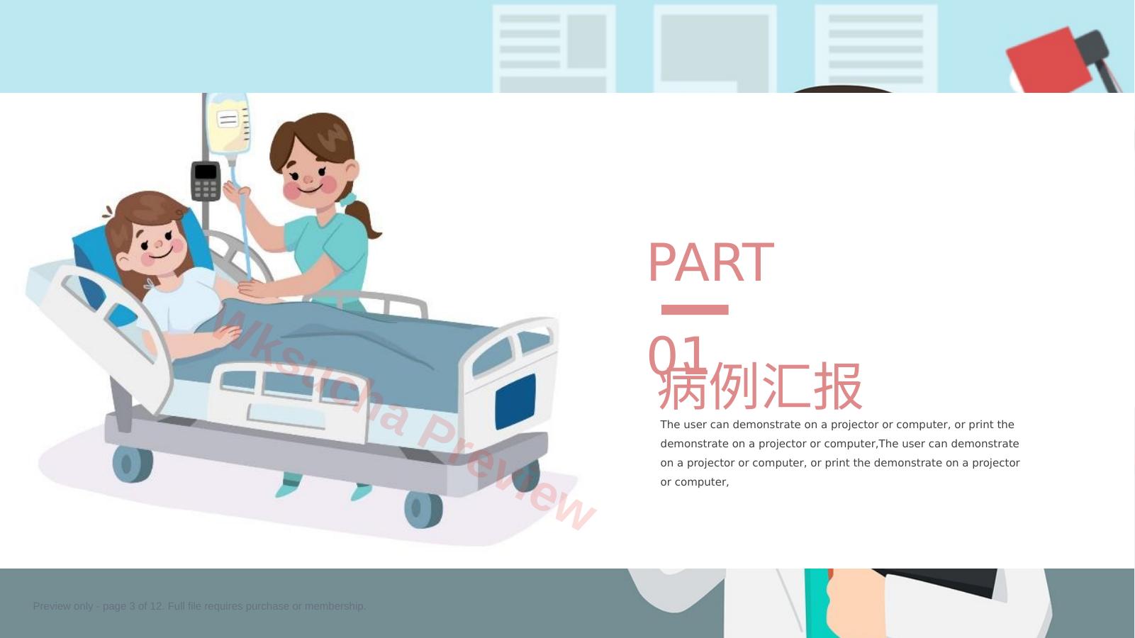 预览第 3 页