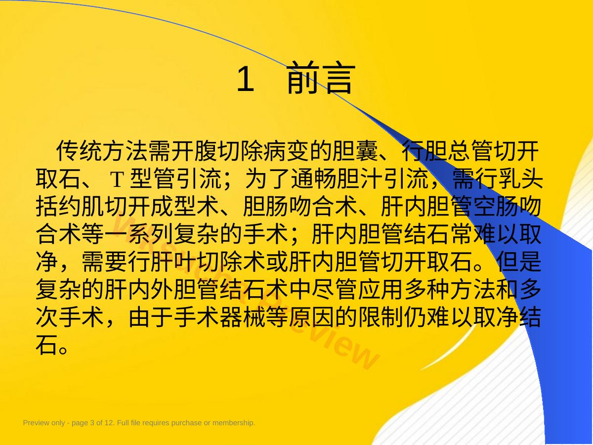预览第 3 页