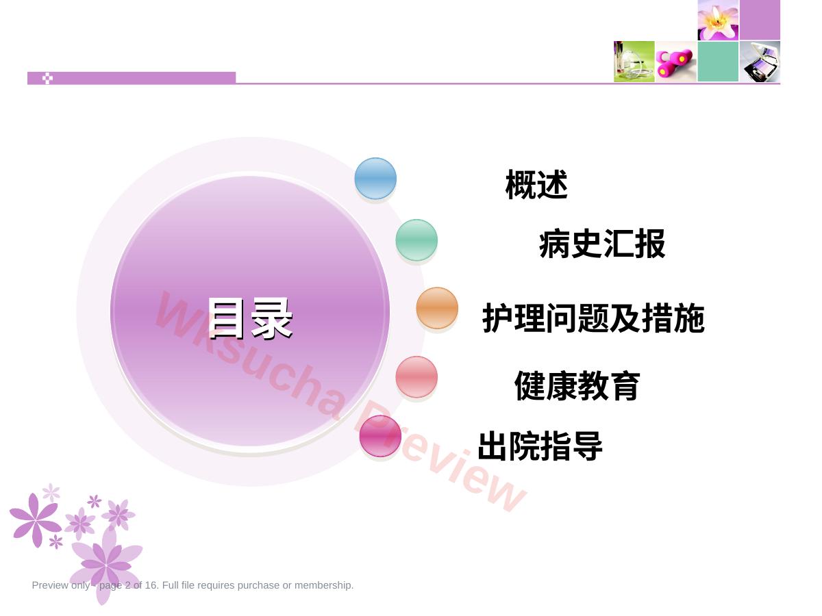 预览第 2 页