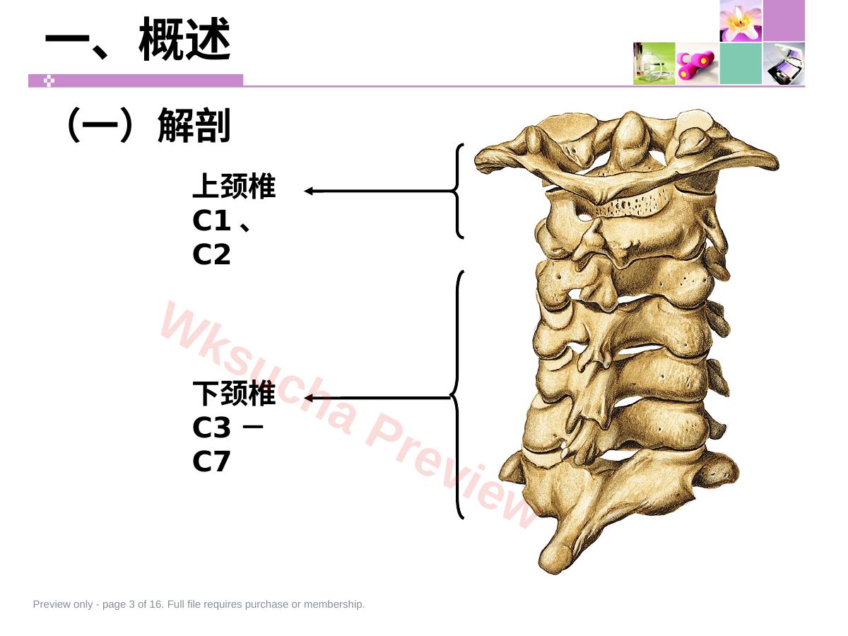 预览第 3 页