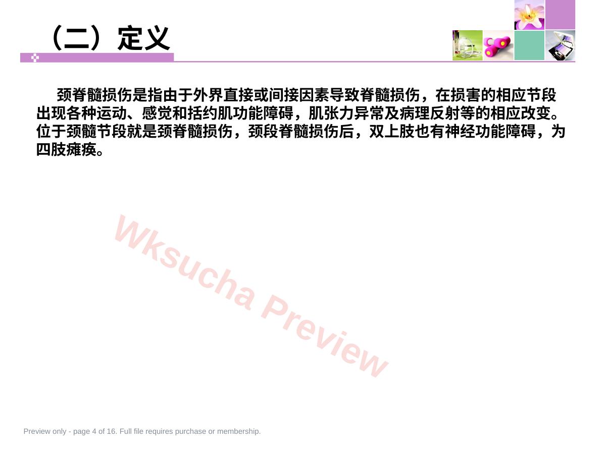 预览第 4 页