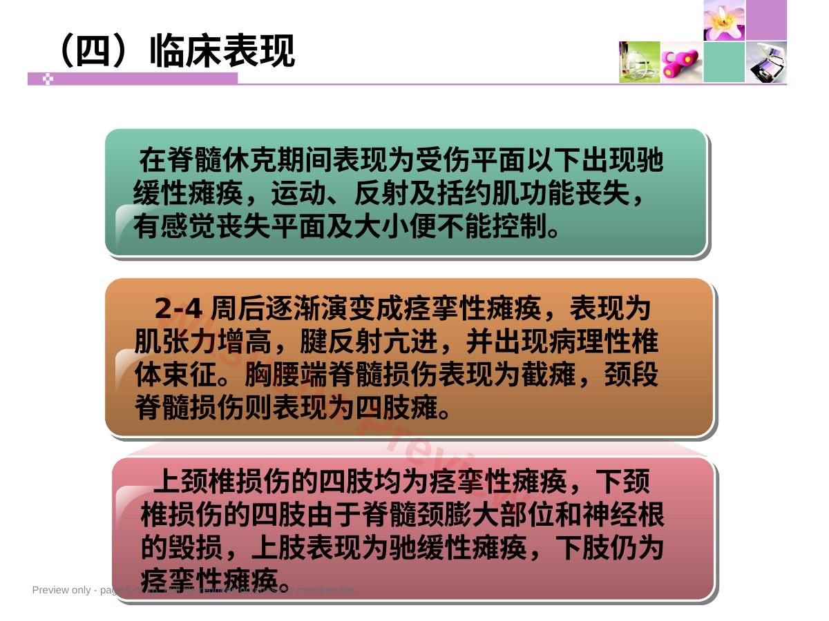 预览第 6 页