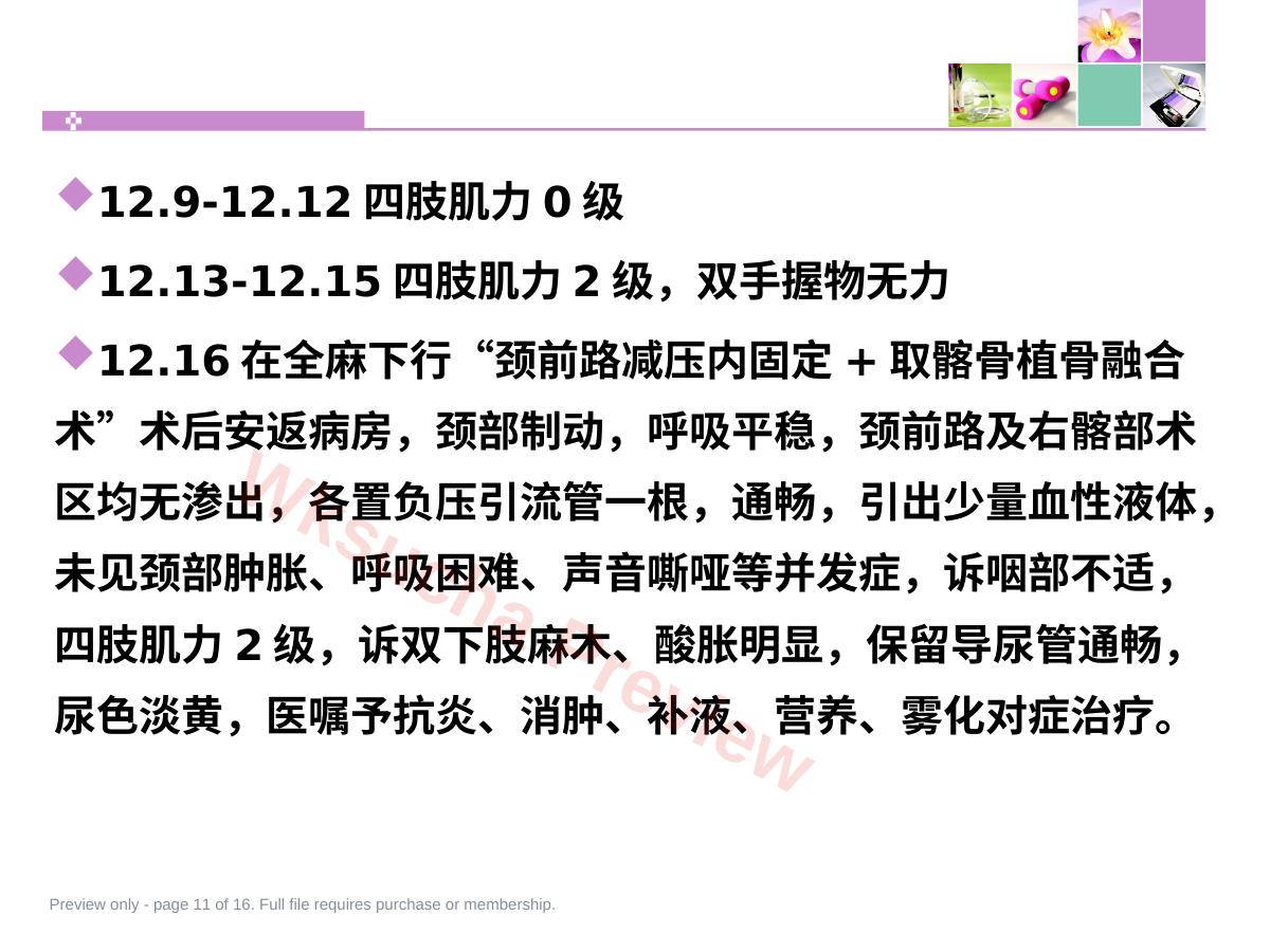 预览第 11 页