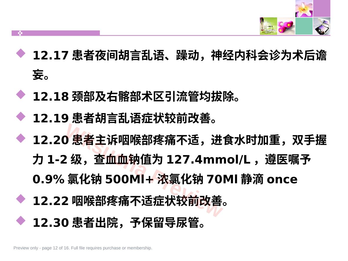 预览第 12 页