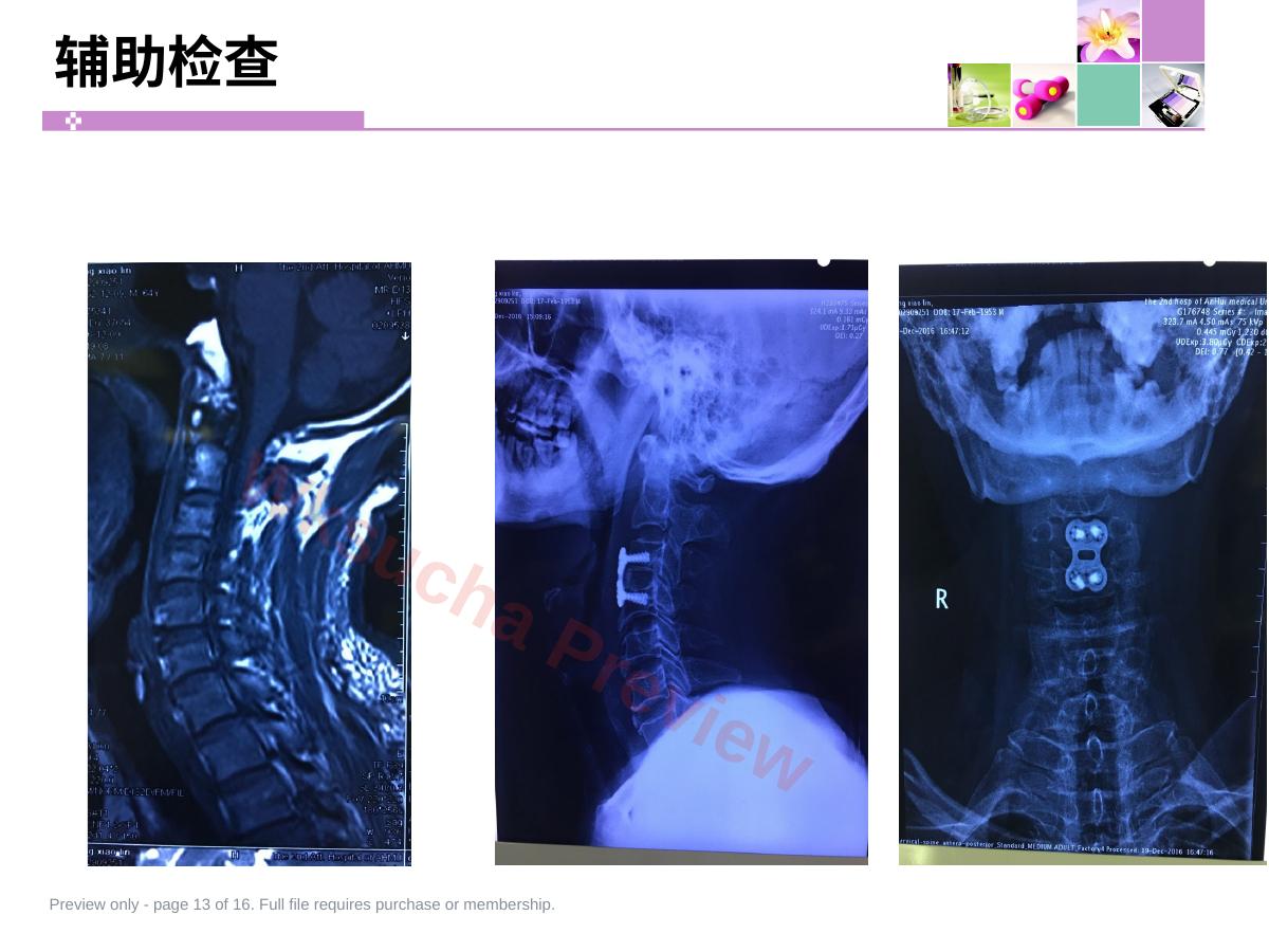 预览第 13 页
