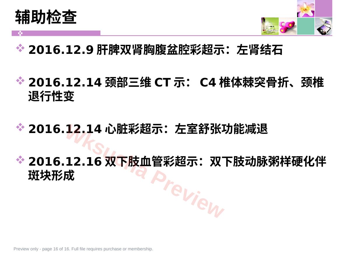 预览第 16 页