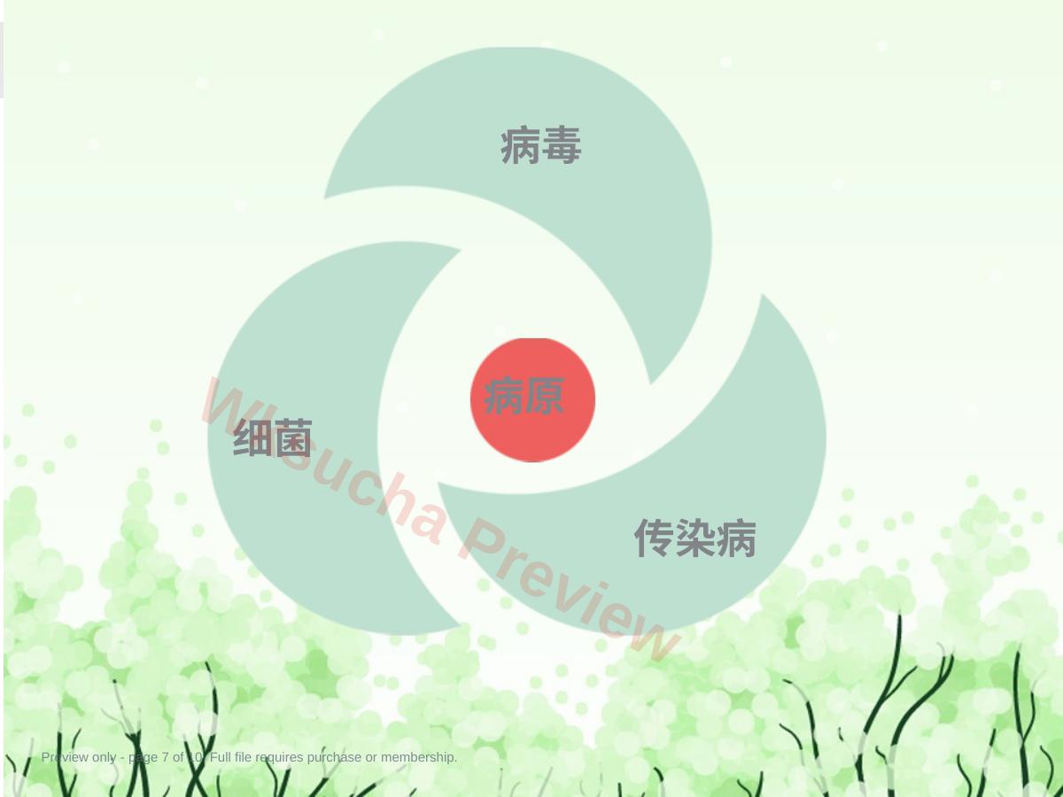 预览第 7 页