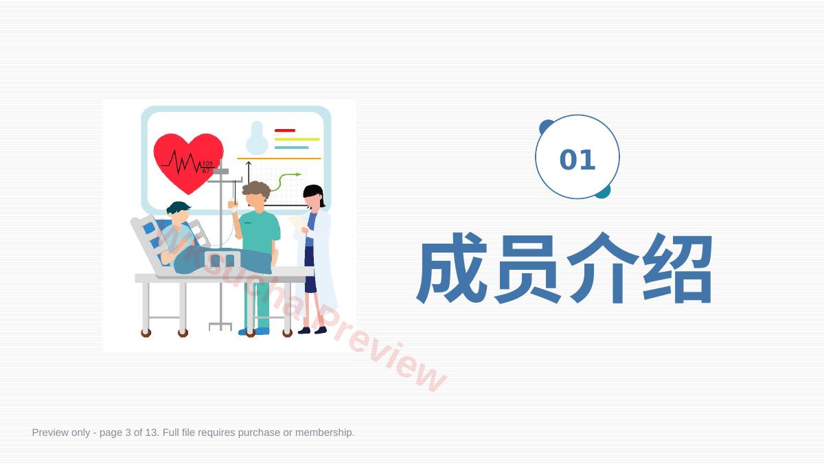 预览第 3 页