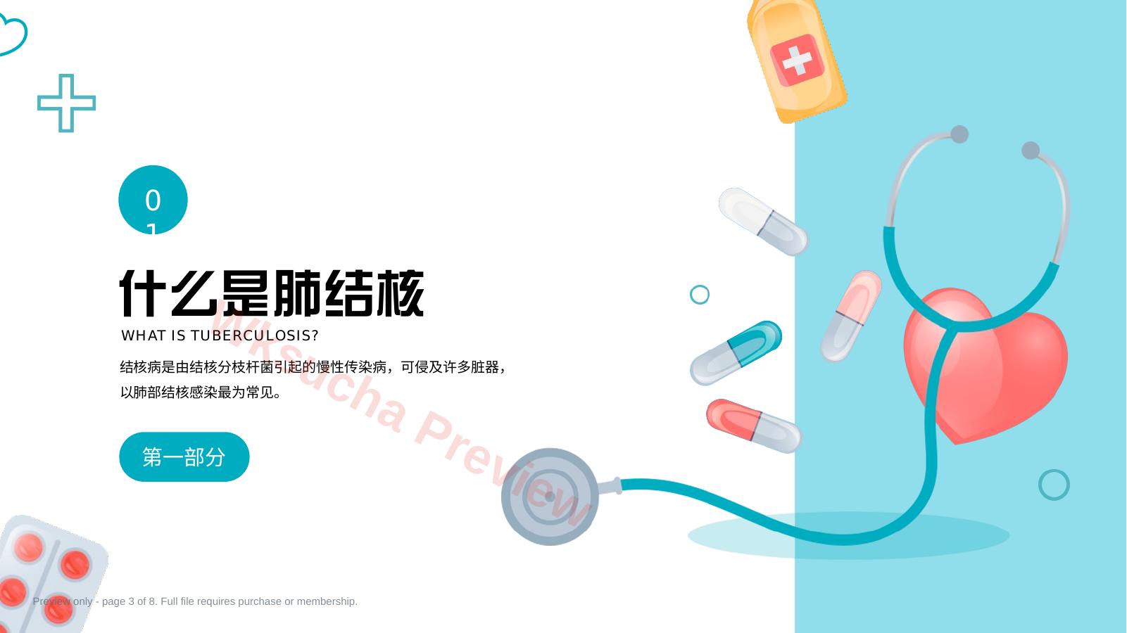 预览第 3 页