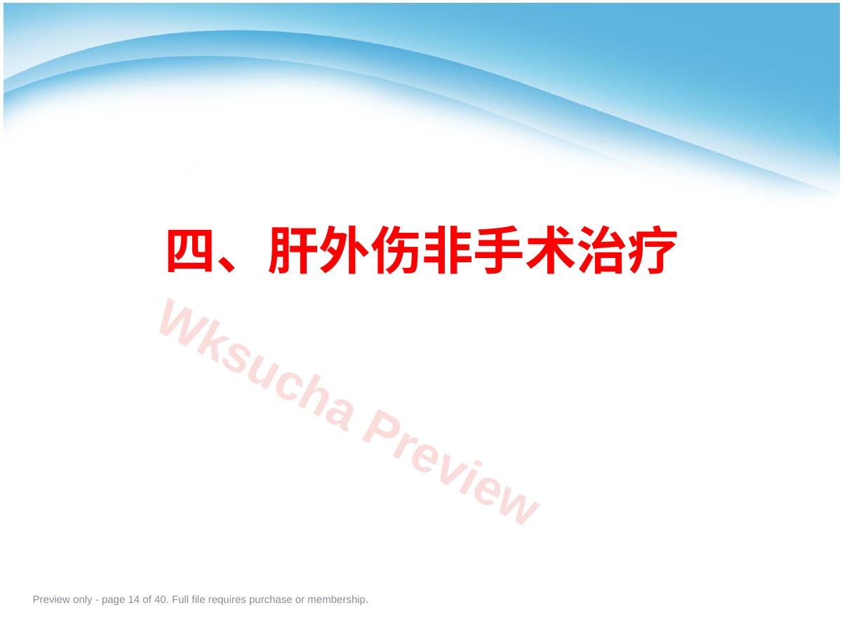 预览第 14 页