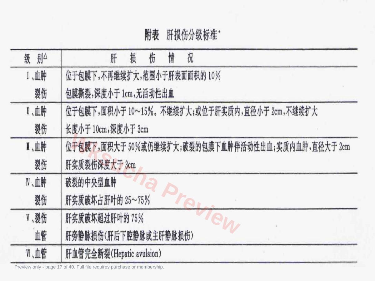 预览第 17 页