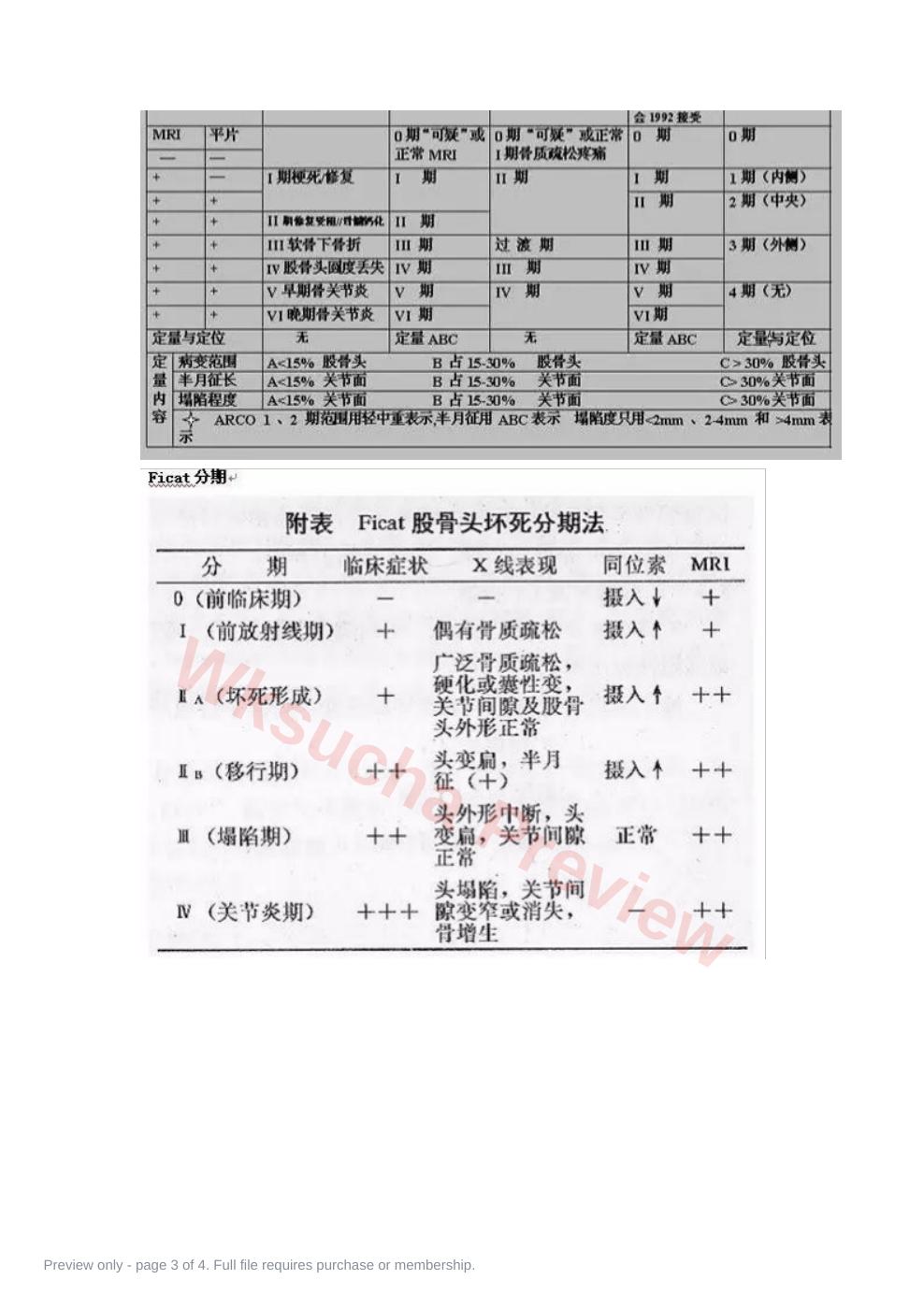 预览第 3 页