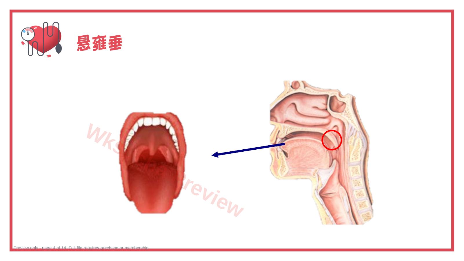 预览第 4 页