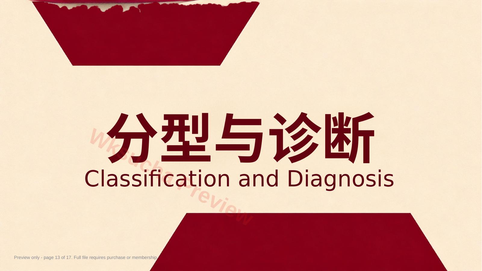 预览第 13 页