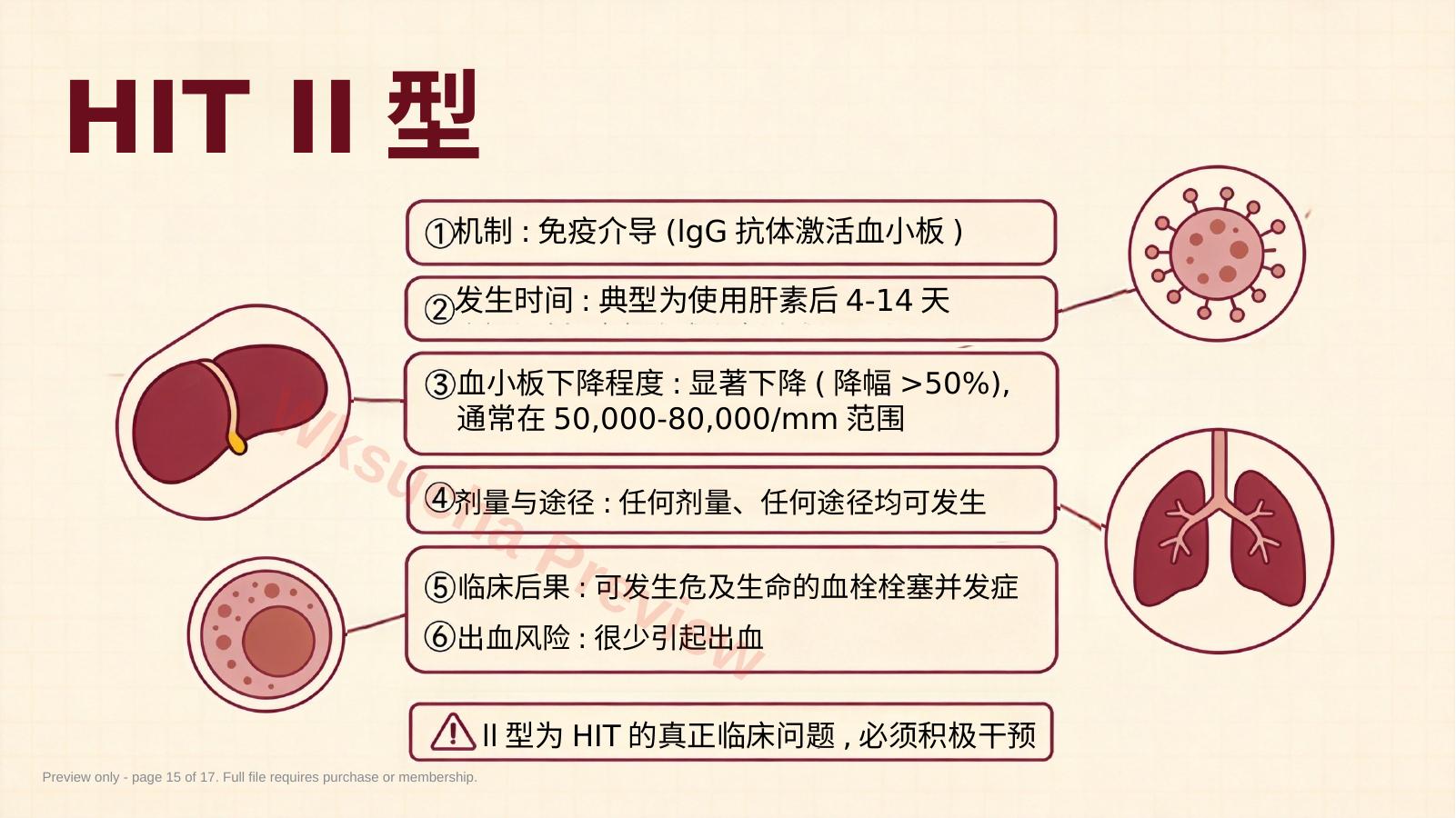 预览第 15 页