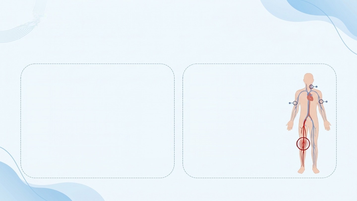 预览第 3 页
