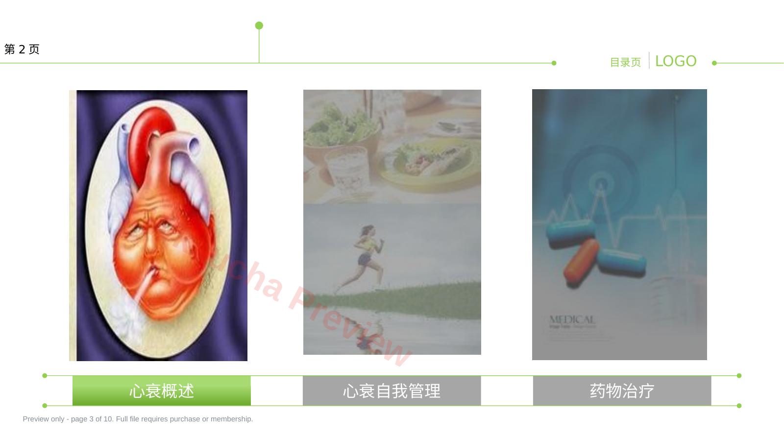 预览第 3 页