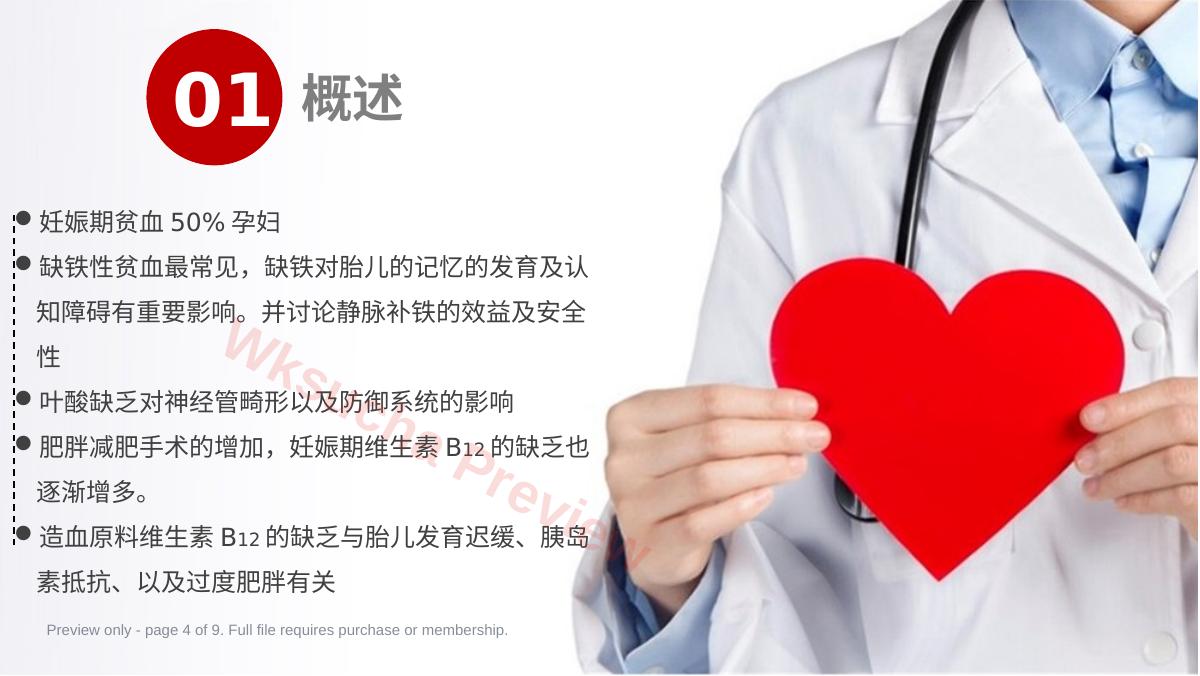 预览第 4 页