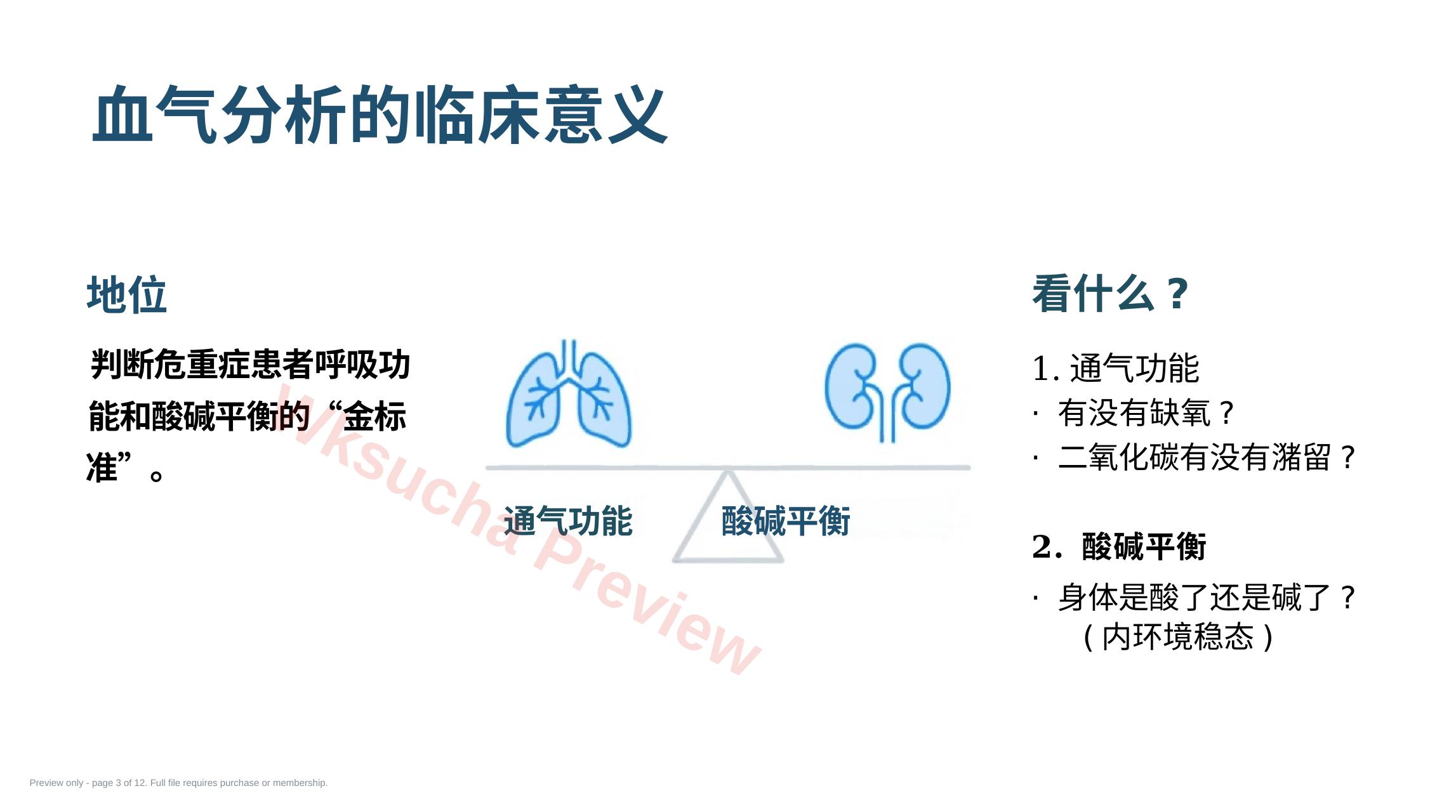 预览第 3 页