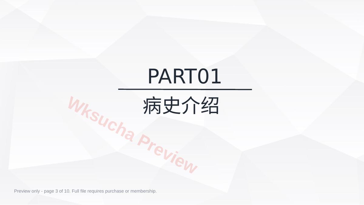 预览第 3 页