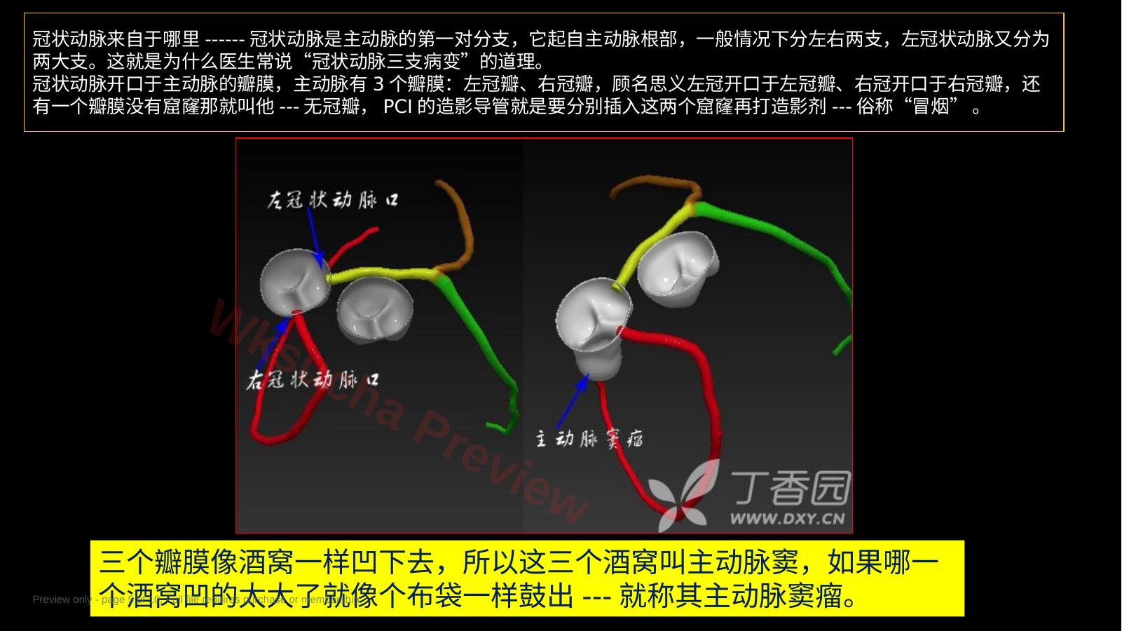 预览第 5 页