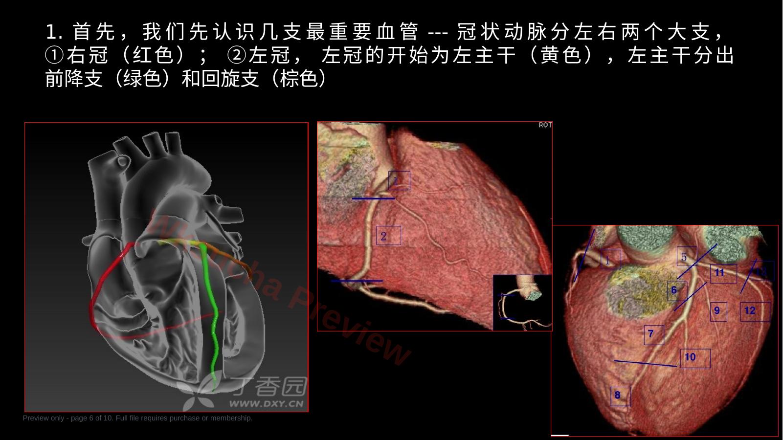 预览第 6 页