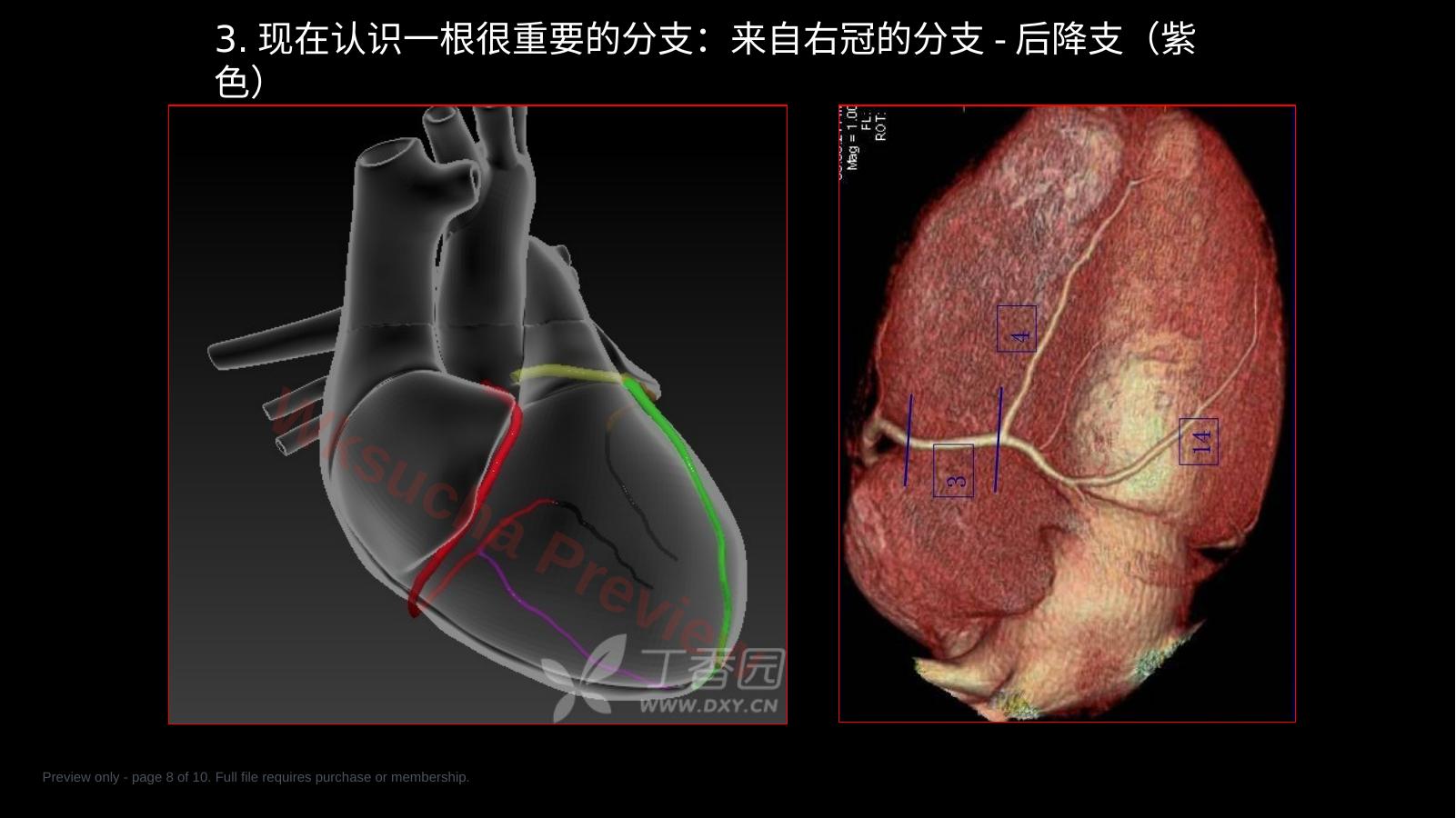 预览第 8 页