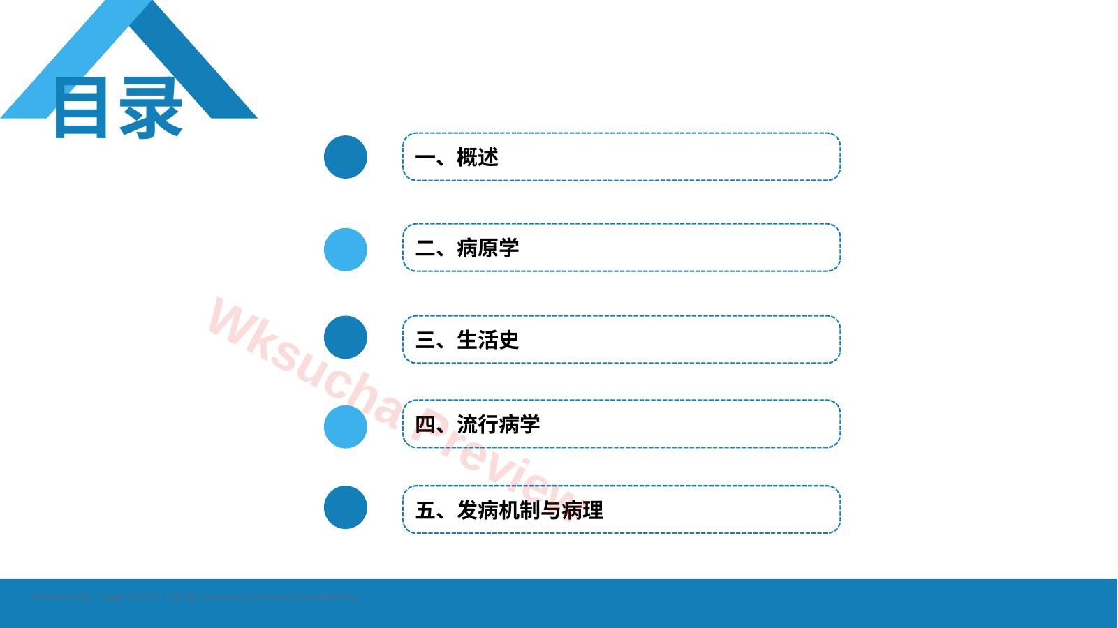 预览第 3 页
