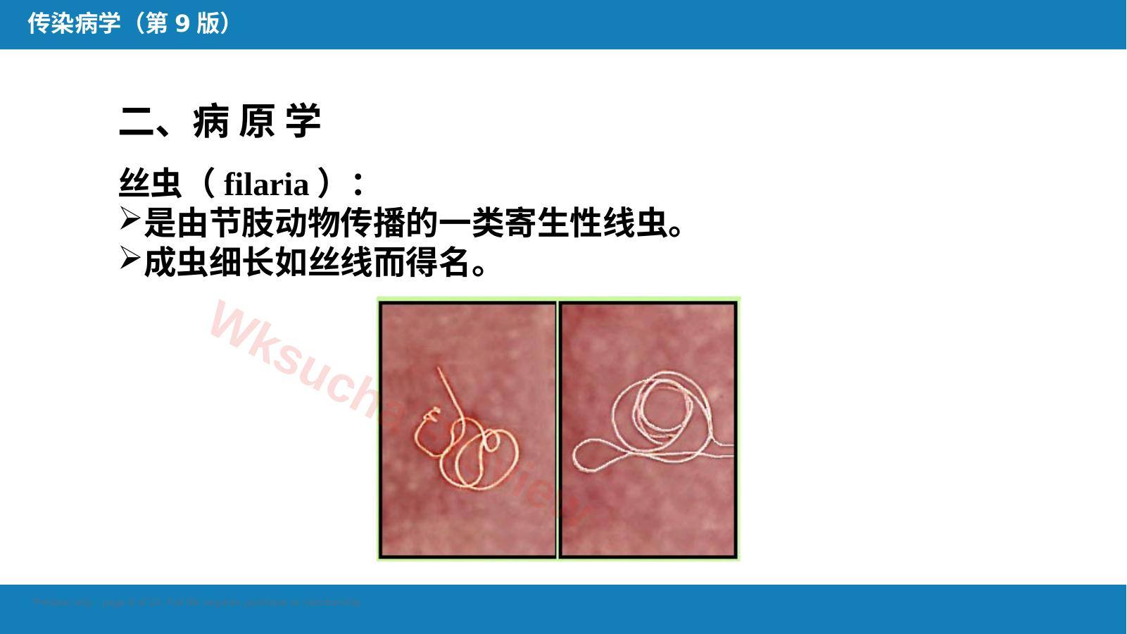 预览第 8 页