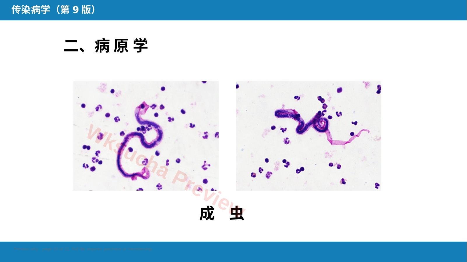 预览第 10 页