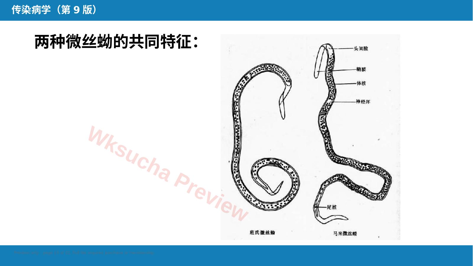 预览第 13 页