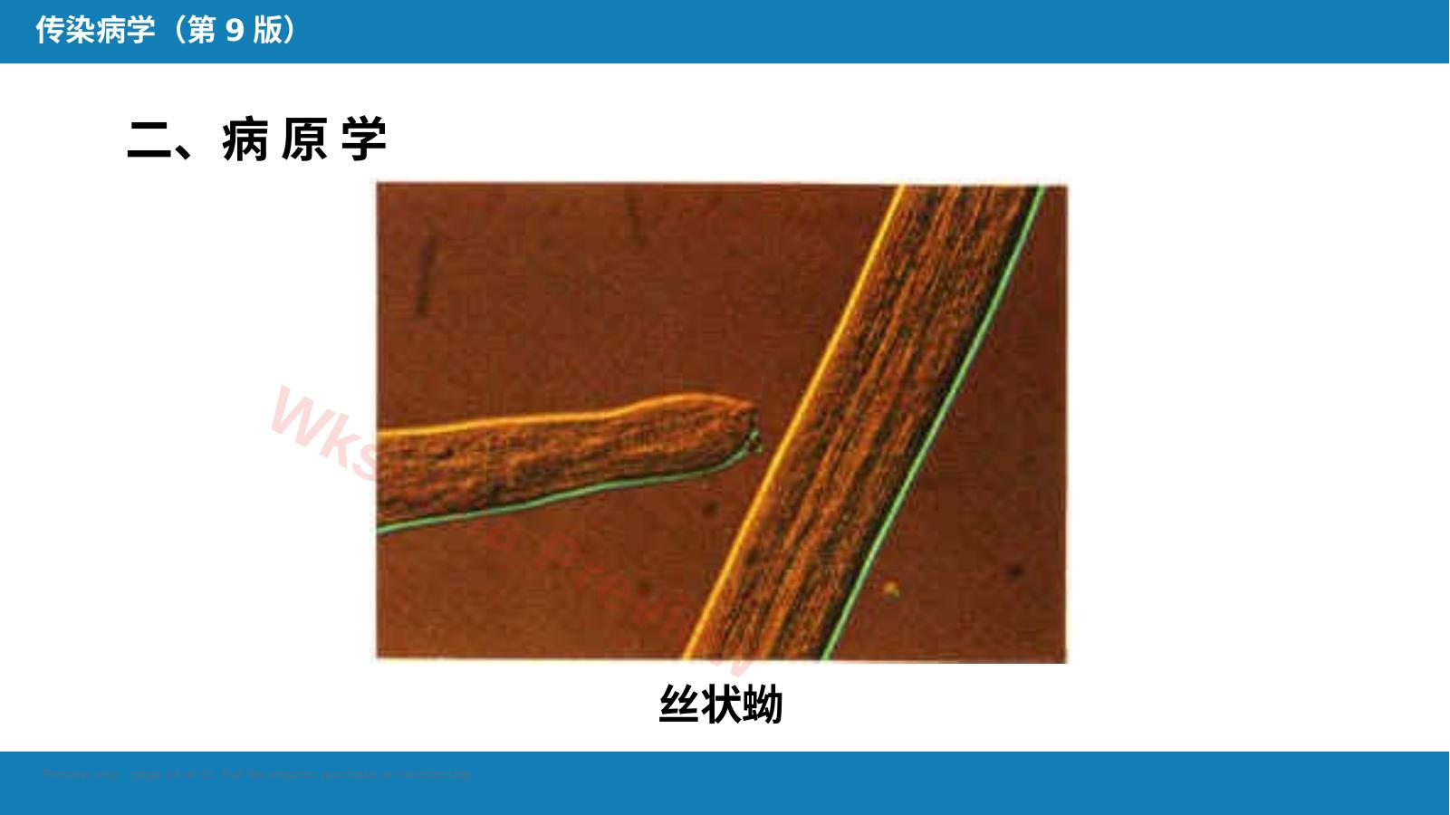 预览第 14 页