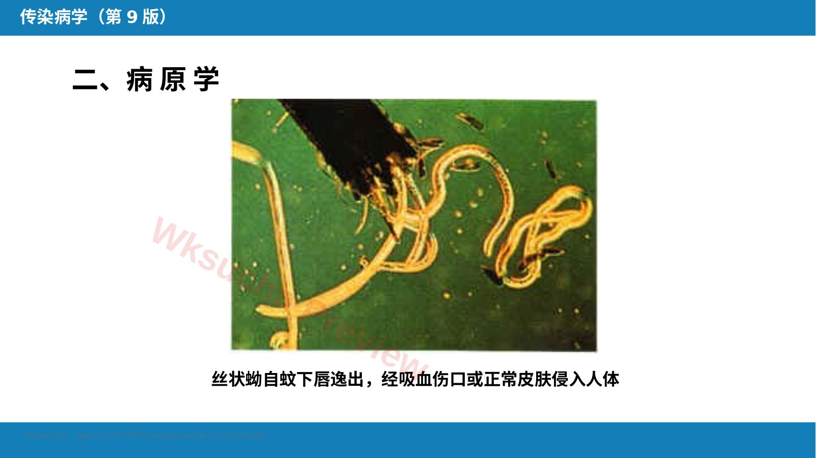 预览第 15 页