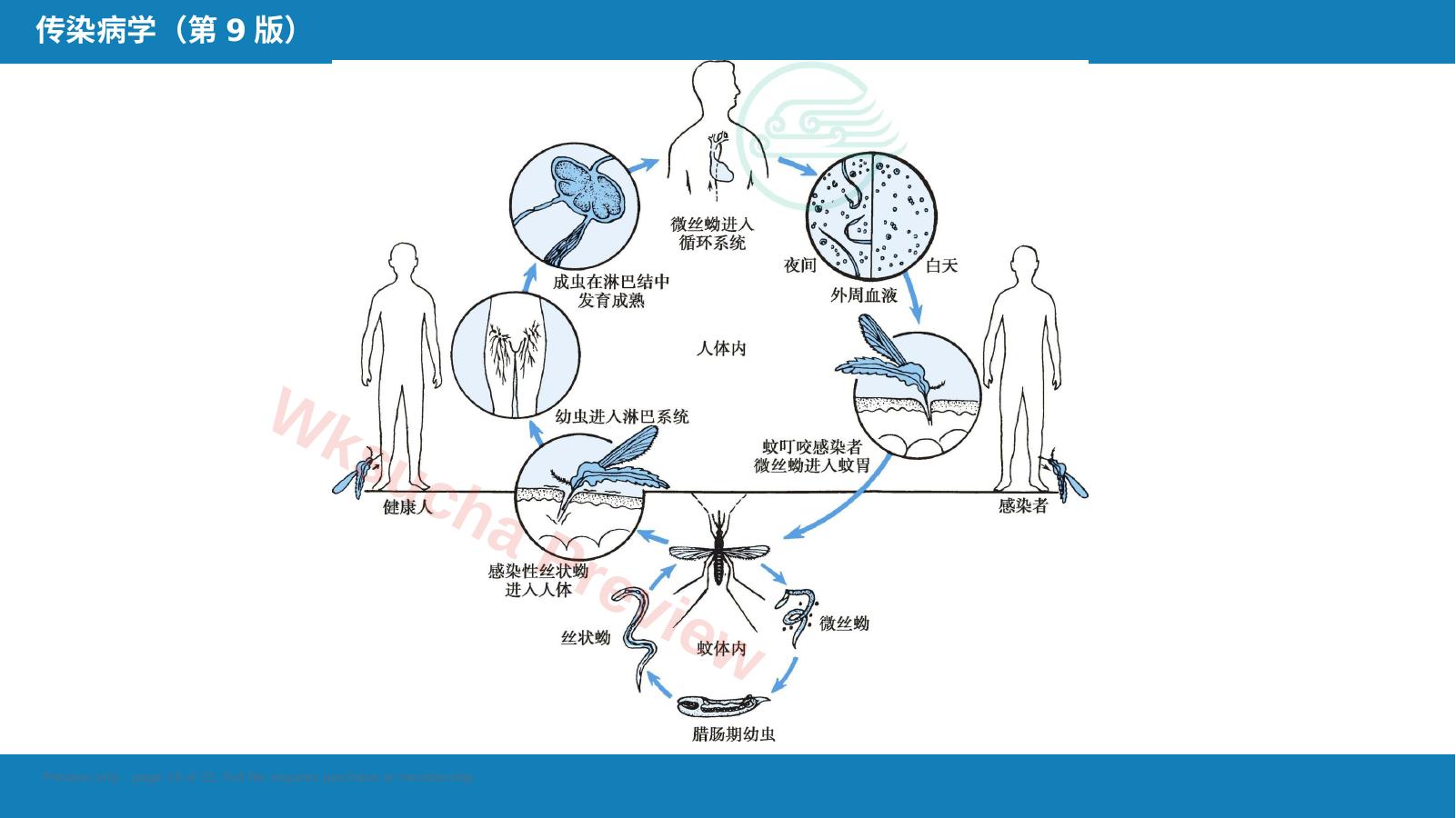 预览第 19 页
