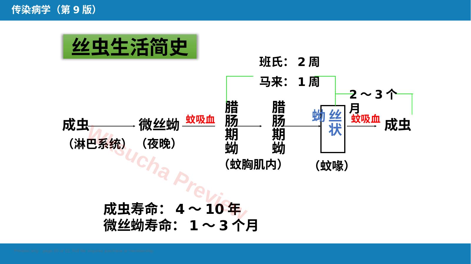 预览第 20 页