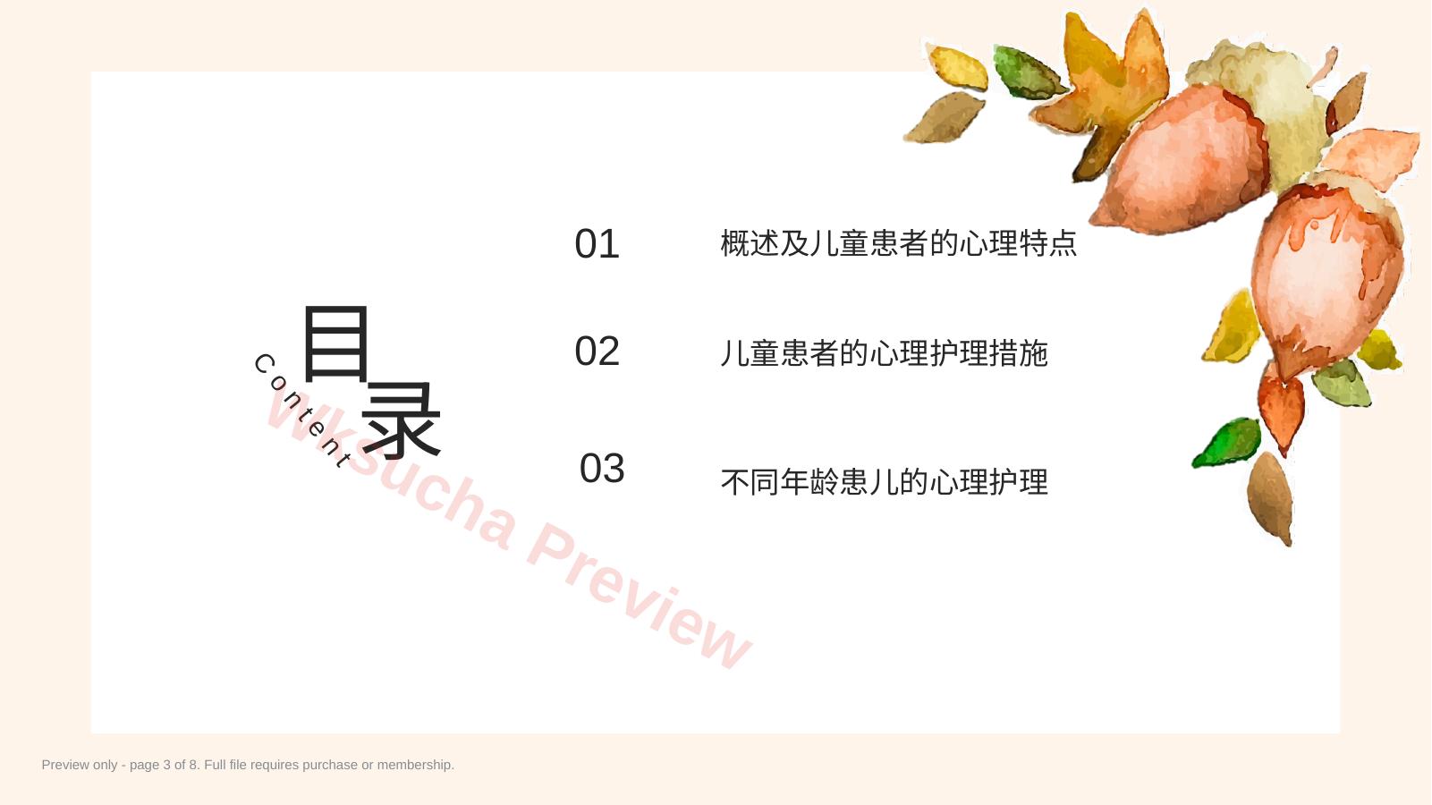 预览第 3 页