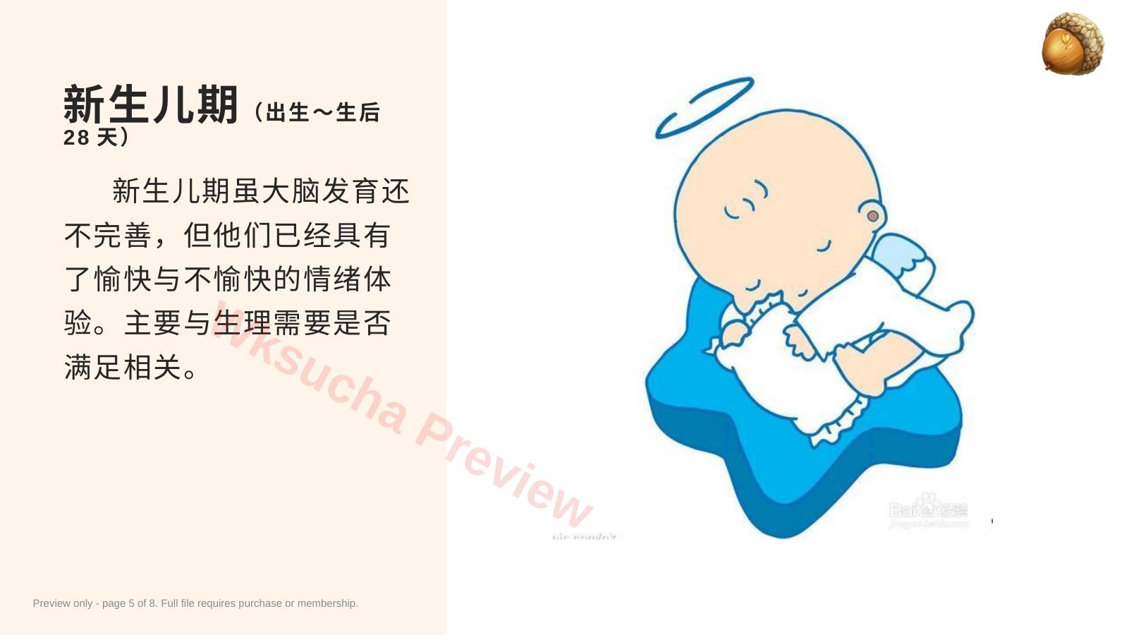 预览第 5 页