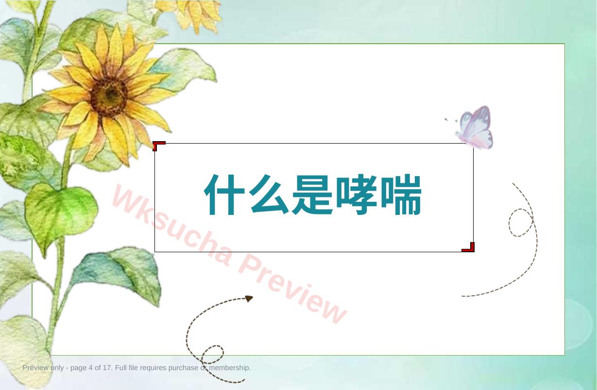预览第 4 页
