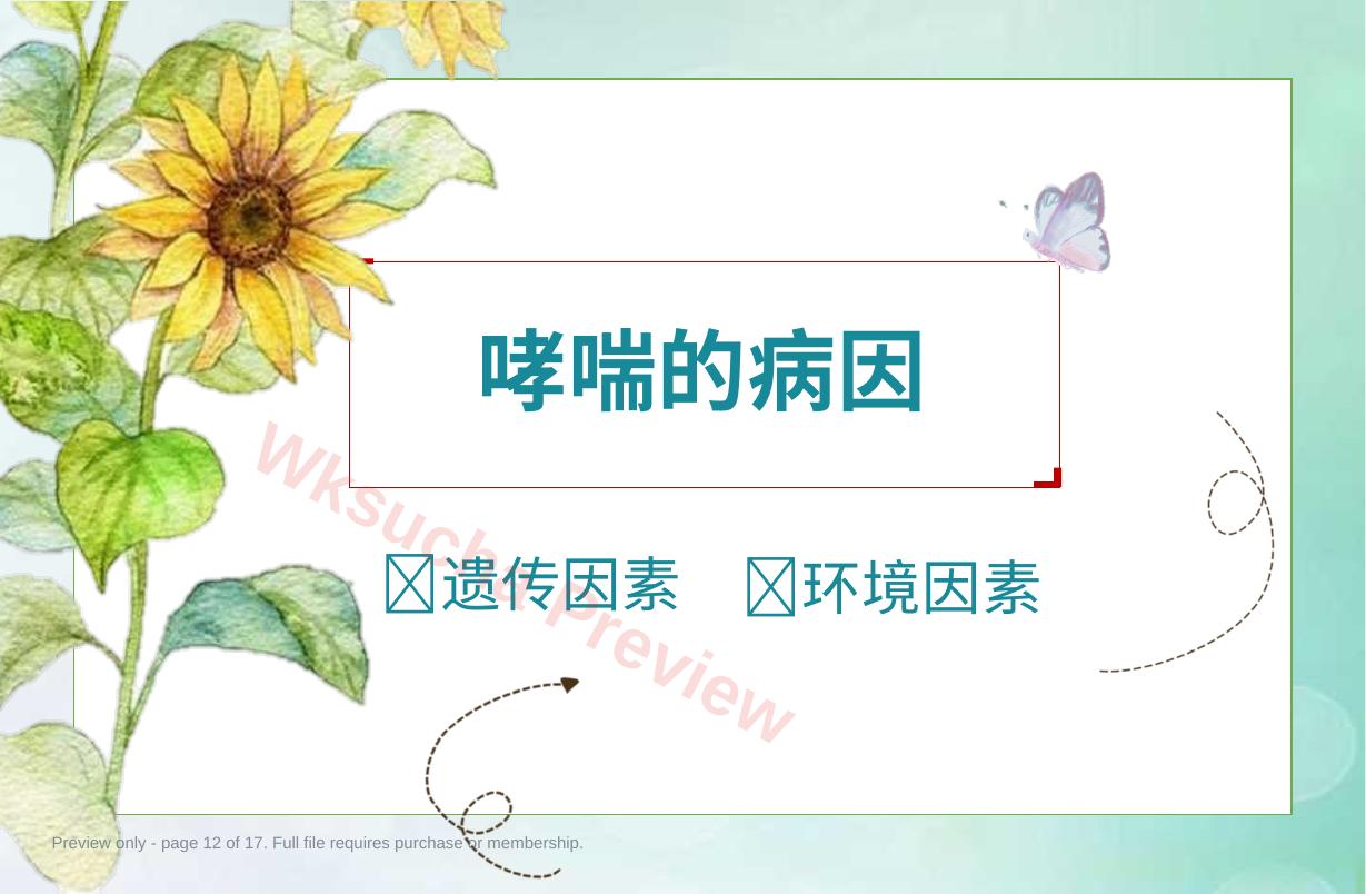 预览第 12 页