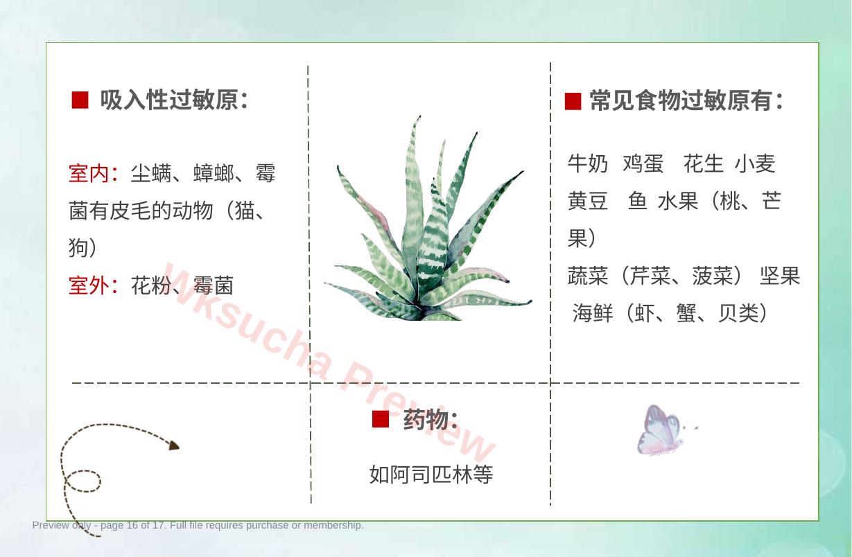 预览第 16 页