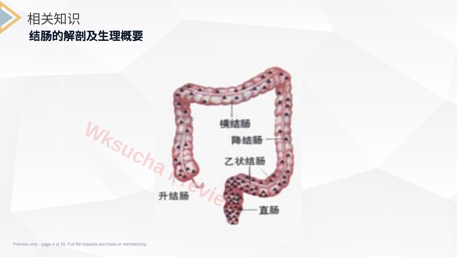 预览第 4 页