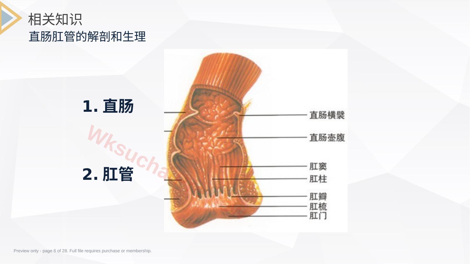 预览第 6 页