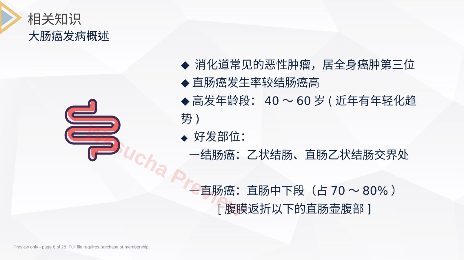 预览第 8 页