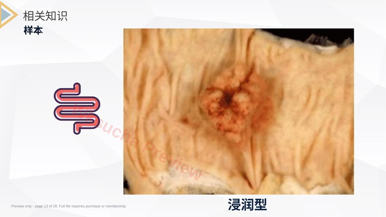 预览第 13 页