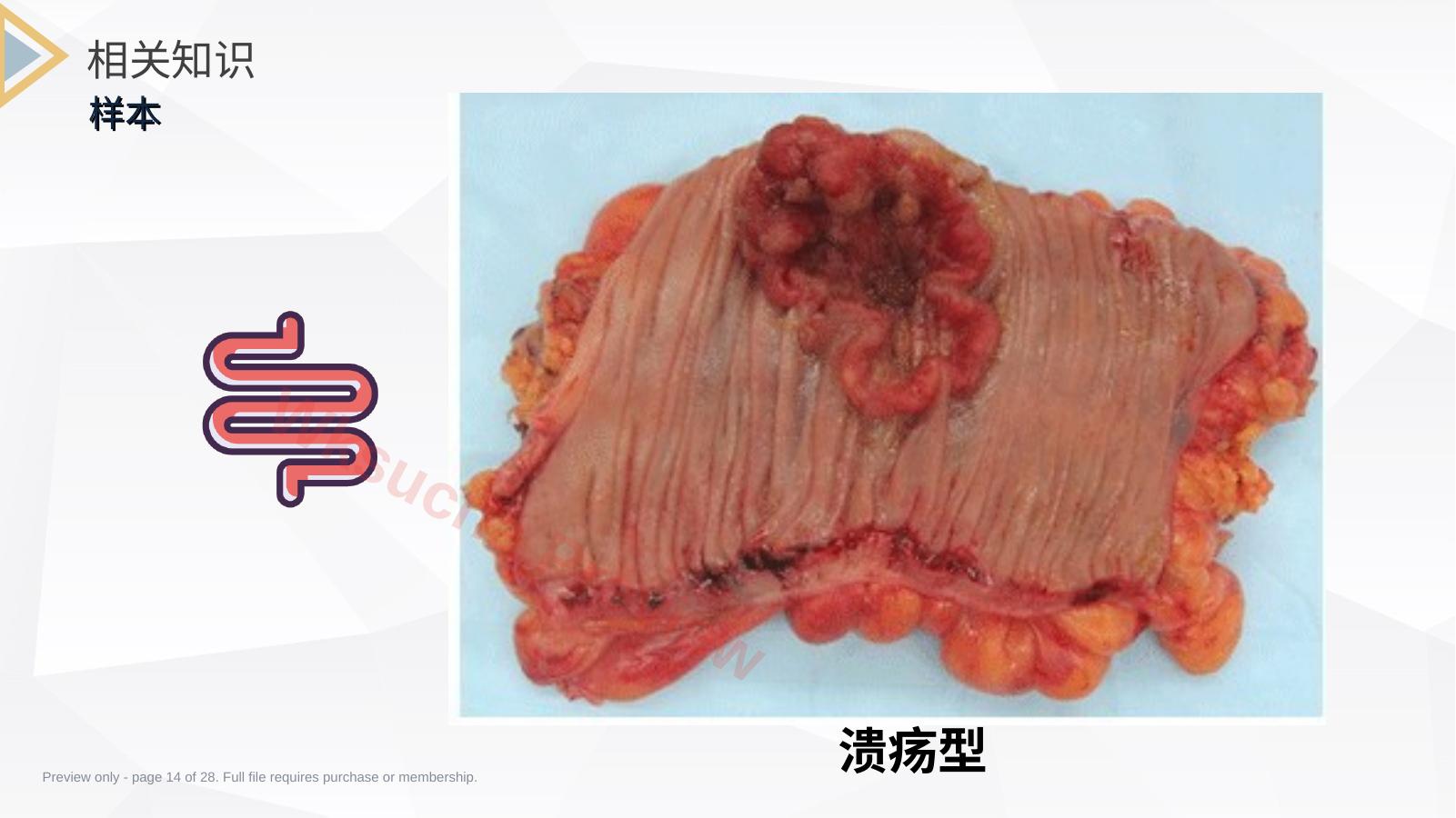 预览第 14 页