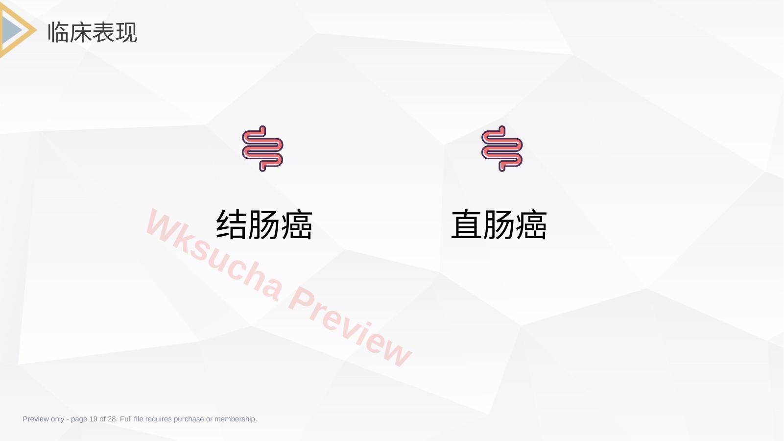 预览第 19 页
