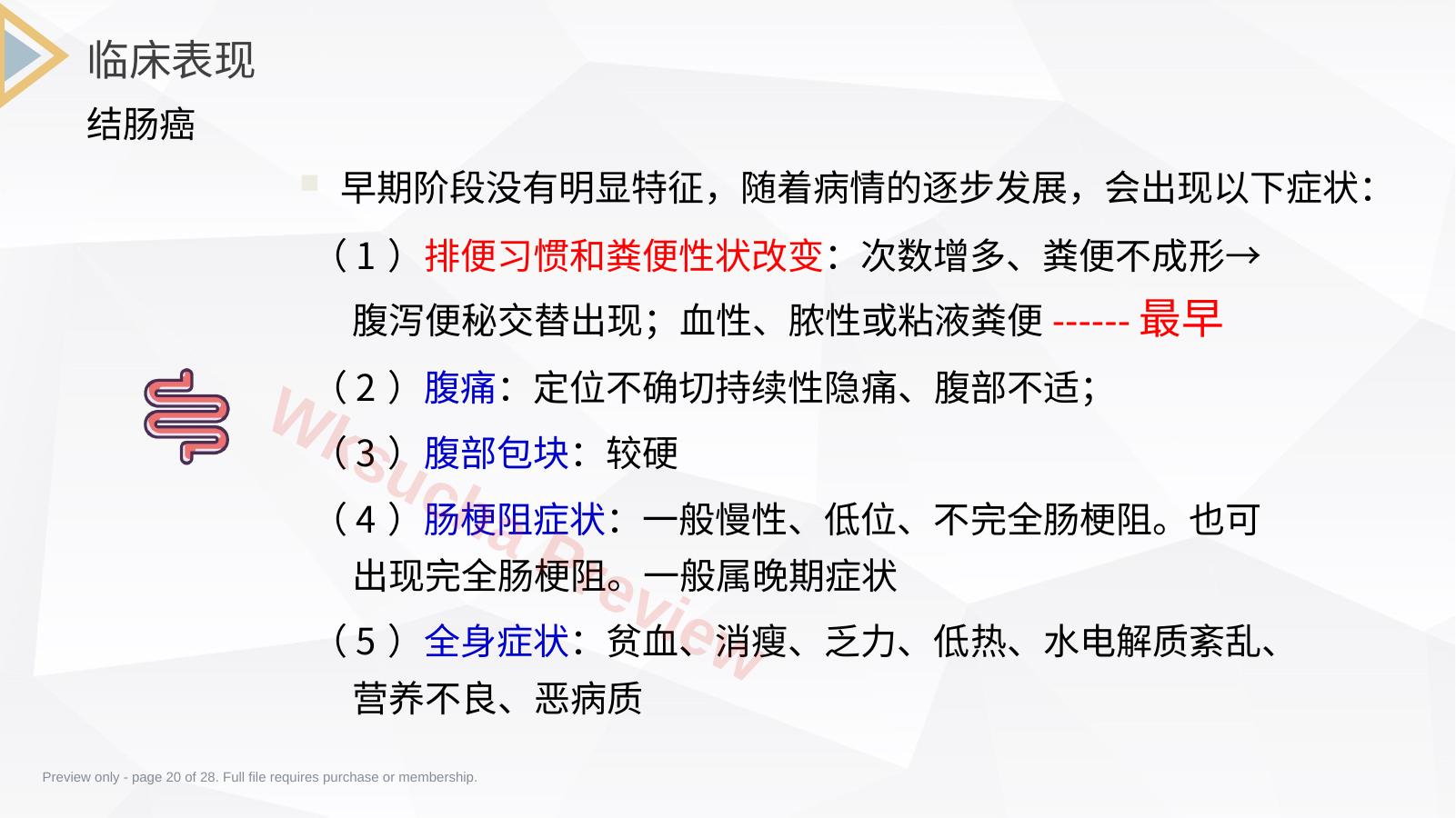 预览第 20 页